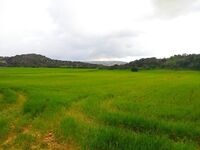 Разловился с первой минуты