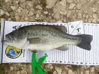 Кипр, ожидание следующей рыбалки