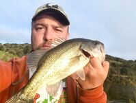 Эврету и апельсины с ветки: поездка удалась