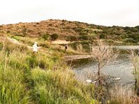 Эврету и апельсины с ветки: поездка удалась