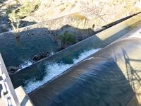 Эврету и апельсины с ветки: поездка удалась