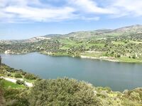 Эврету и апельсины с ветки: поездка удалась