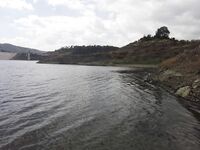 Форель на Канавиу и ощущение дома на Кипре