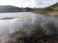 Форель на Канавиу и ощущение дома на Кипре