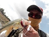 Форель на Канавиу и ощущение дома на Кипре