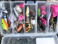 Гермасойя: день, когда всё решилось