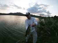 Декабрьский дубль: Гермасоя и Дипотамос