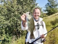 Тишина перед бурей