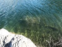 Утро на Канавью