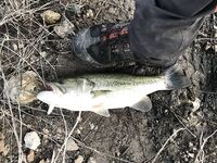 Попперное воскресенье и падение в кусты