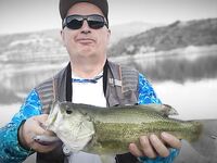 Октябрьская десятка: под 100 бассов!