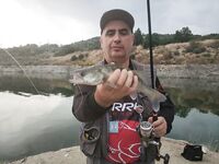 Октябрьская десятка: под 100 бассов!