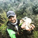 Плотный график по дамбам Кипра