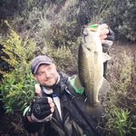 Плотный график по дамбам Кипра