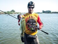 Первое знакомство с Кипром и бассом