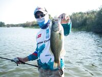 Первое знакомство с Кипром и бассом