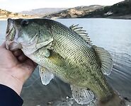 Семейная неделя на Кипре: Эврету, Ахна, Лефкара