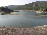 Фото с рыбалки