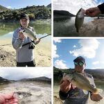 Осторожно: кражи из арендованных машин