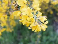 Кипр: коротко и по делу