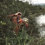 Отчёт «кашляющий басс»: мартовская эпопея