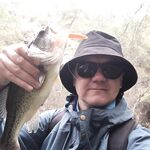 Отчёт «кашляющий басс»: мартовская эпопея