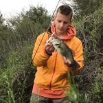 Отчёт «кашляющий басс»: мартовская эпопея