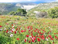 Апрель на Кипре: ностальгия и фото