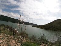 Курис, правый залив на косах