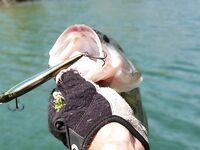 Майский марафон по кипрским дамбам