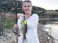 Курис оживает после перепадов