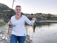 Курис оживает после перепадов