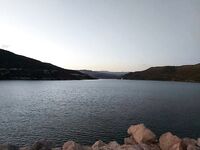 Курис оживает после перепадов