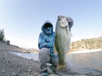 Арминиу, июль 2020: короткие новости