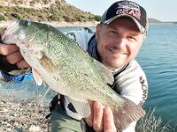 Кипрское лето басса