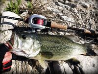 Кипр, Пафос: десять дней бассового марафона