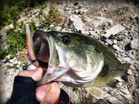 Кипр, Пафос: десять дней бассового марафона