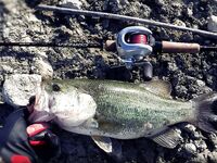 Кипр, Пафос: десять дней бассового марафона