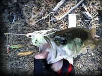 Кипр, Пафос: десять дней бассового марафона