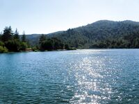 Кипр, Пафос: десять дней бассового марафона