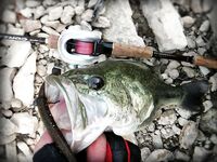 Кипр, Пафос: десять дней бассового марафона