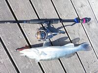 После жары и дождей на Кипре