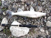 После жары и дождей на Кипре