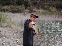 Первый басс на Гермасойе