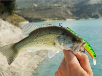 Первый басс на Гермасойе