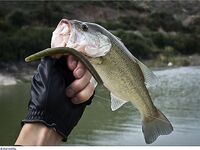 Кипр: дубль два