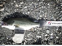 Кипр: дубль два