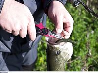 Кипр: дубль два