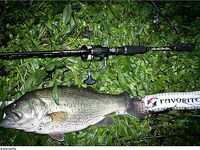 Кипр: дубль два