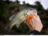 Кипр: дубль два